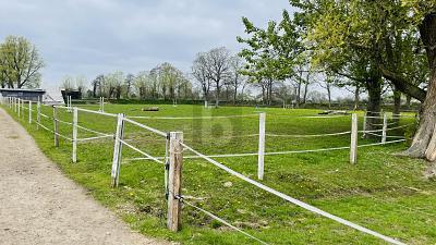 Foto - 6 Zimmer Einfamilienhaus zum Kaufen in Oldersbek