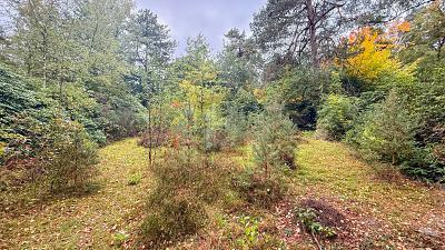 Foto - Grundstück in Wedemark