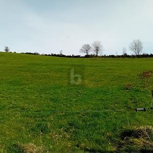 Foto - Grundstück zum Kaufen in Burbach