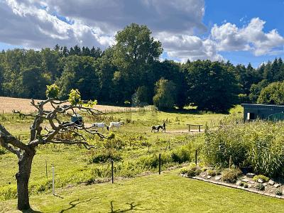 Foto - 2 Zimmer Einfamilienhaus in Tessin