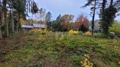 Foto - GRÜNES WOHNEN - BAUEN IN EXKLUSIVER SIEDLUNG