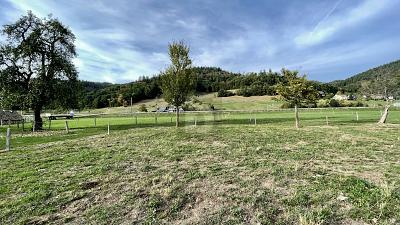 Foto - Grundstück zum Kaufen in Münstertal