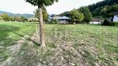 Foto - Grundstück in Münstertal