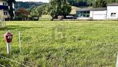 Foto - Grundstück in Münstertal zum Kaufen