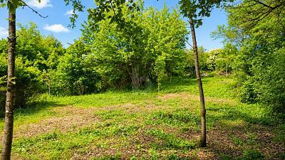 Foto - Grundstück in Priesendorf