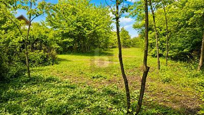 Foto - Grundstück in Priesendorf zum Kaufen
