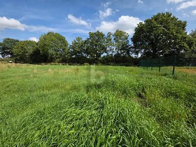 Foto - FAMILIENFREUNDLICH WOHNEN MIT VIEL PLATZ