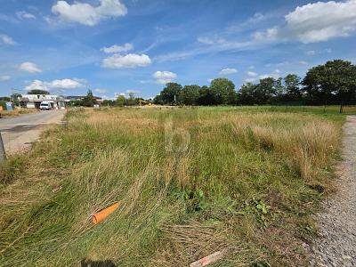 Foto - Grundstück in Kisdorf