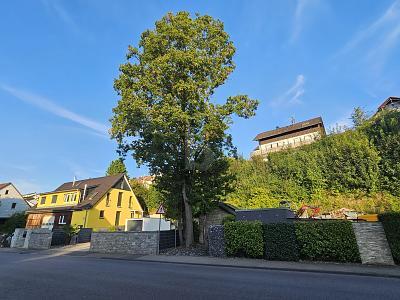 Foto - VIELSEITIGER RAUM FÜR LEBEN UND ARBEIT IN TOP-LAGE
