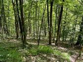 Foto - Grundstück in Bad Grund (Harz)