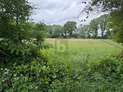 Foto - IDEAL FÜR FREIZEIT IN DER NATUR