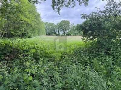Foto - Grundstück in Lutzhorn zum Kaufen