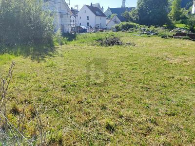 Foto - Grundstück zum Kaufen in Balzheim