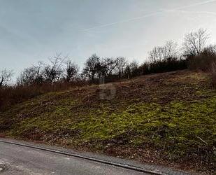 SONNENVERWÖHNTE 839 QM MIT AUSSICHT - Welschbillig
