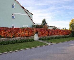 WOHNEN MIT KLUGEM ENERGIEKONZEPT - Templin