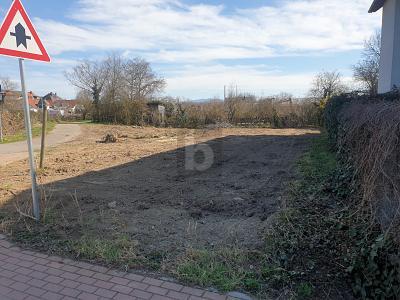 Foto - KAISERSTÜHLER IDYLLE TRIFFT FREIBURGER STADTNÄHE