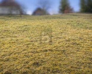 NATURNAH BAUEN IN BAIERSBRONN - 69.000,00&nbsp;EUR Kaufpreis, ca.&nbsp; 550,00&nbsp;m&sup2; in Baiersbronn (PLZ: 72270)