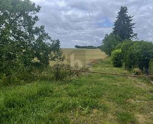 HIER KÖNNTE IHR NEUES HAUS STEHEN - Lebus