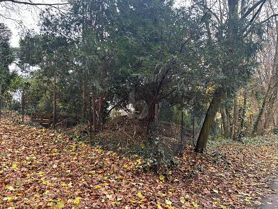 Foto - BAUEN NACH IHREN VORSTELLUNGEN - 1.210.000,00&nbsp;EUR Kaufpreis, ca.&nbsp; 2.200,00&nbsp;m&sup2;