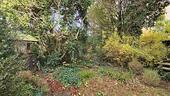 Foto - ZUSCHLAGEN UND LOSLEGEN! - 500.000,00&nbsp;EUR Kaufpreis, ca.&nbsp; 530,00&nbsp;m&sup2;