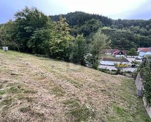 SCHÖNE AUSSICHTEN FÜR EIN GEMEINSAMES ZUHAUSE - Weisenbach