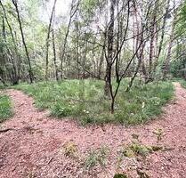 ATTRAKTIV FÜR FREIZEIT ODER IDEAL FÜR PROJEKTIERER - Pinneberg