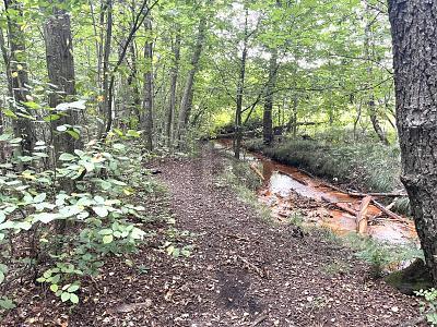 Foto - Freizeitgrundstück zum Kaufen in Pinneberg