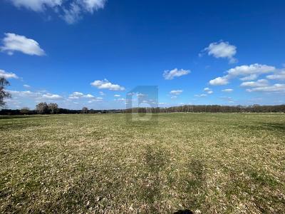 Foto - Grundstück zum Kaufen in Oststeinbek