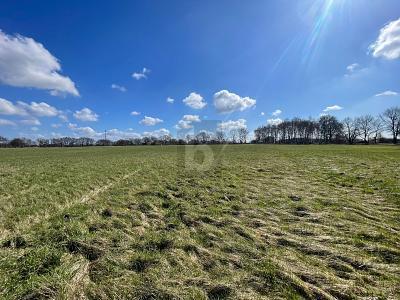 Foto - Grundstück in Oststeinbek