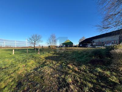 Foto - Grundstück zum Kaufen in Steenfeld
