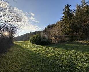 RUHE UND NATUR MIT EIGENER QUELLE (KEIN BAULAND) - Sulz am Neckar
