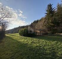 RUHE UND NATUR MIT EIGENER QUELLE (KEIN BAULAND) - Sulz am Neckar