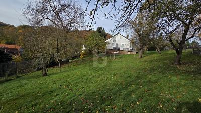 Foto - GROß UND GÜNSTIG - 65.000,00 EUR Kaufpreis, ca.  760,00 m²