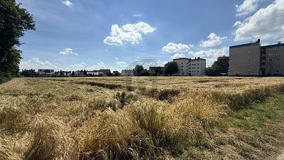 Foto - Grundstück zum Kaufen in Wabern