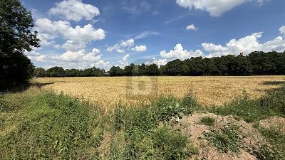 Foto - Grundstück in Wabern zum Kaufen