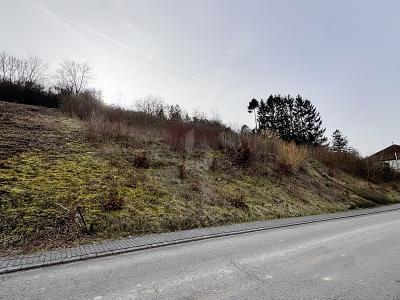 Foto - Grundstück zum Kaufen in Welschbillig