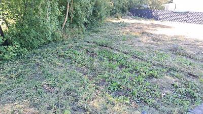 Foto - Grundstück zum Kaufen in Ohmden