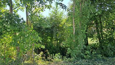 Foto - Grundstück in Ohmden