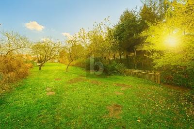 Foto - Grundstück in Merkers-Kieselbach
