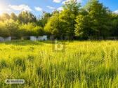 Foto - Grundstück in Hirschaid