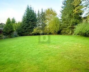 GENÜGEND FLÄCHE FÜR 2 FAMILIEN! - Melle