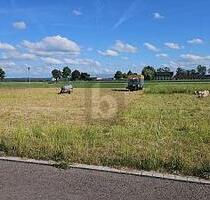 ERSCHLOSSEN & FAMILIENFREUNDLICH GELEGEN - Berkheim