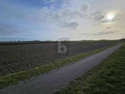 Foto - Grundstück in Fehmarn