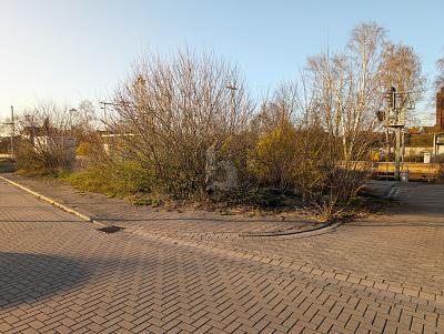 Foto - 