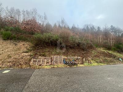 Foto - Grundstück zum Kaufen in Wolfach
