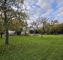 RUHIG GELEGEN MIT SÜDAUSRICHTUNG - Moorenweis