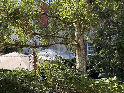 Foto - 15 Zimmer Wohn- & Geschäftshaus zum Kaufen in Lübeck