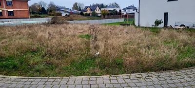 Foto - Grundstück zum Kaufen in Speicher