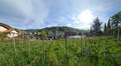 Foto - AUSSICHT & LEBENSQUALITÄT - ca.&nbsp; 770,00&nbsp;m&sup2;