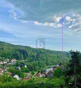 Foto - Grundstück in Bad Grund (Harz) zum Kaufen